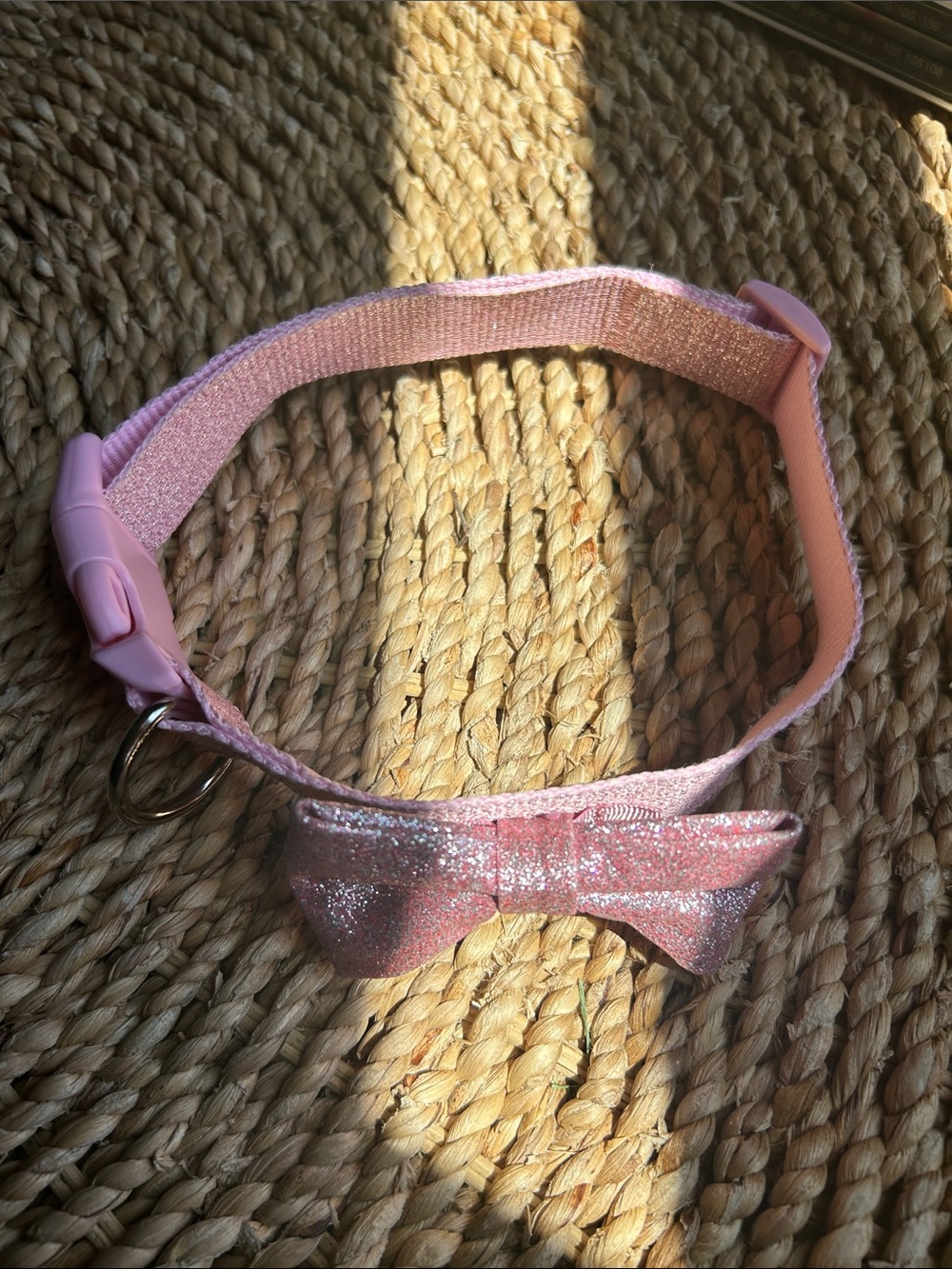 Bow tie dog collar.